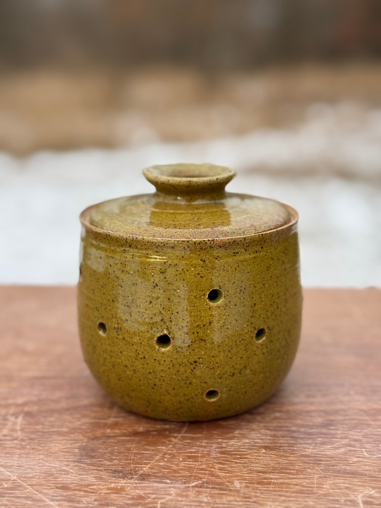 Garlic keeper