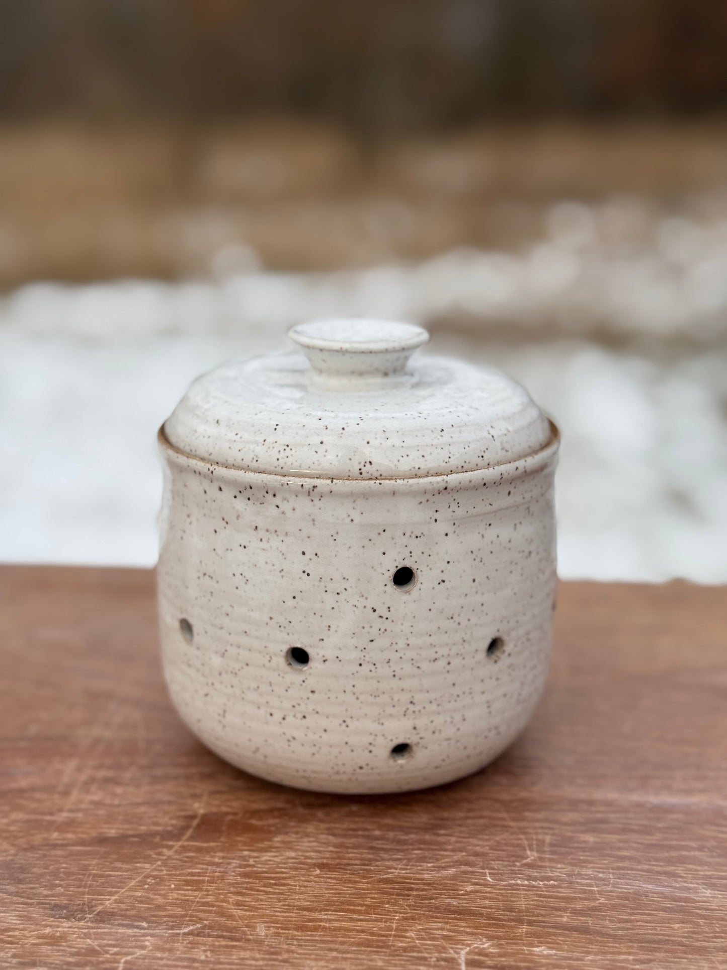Garlic keeper