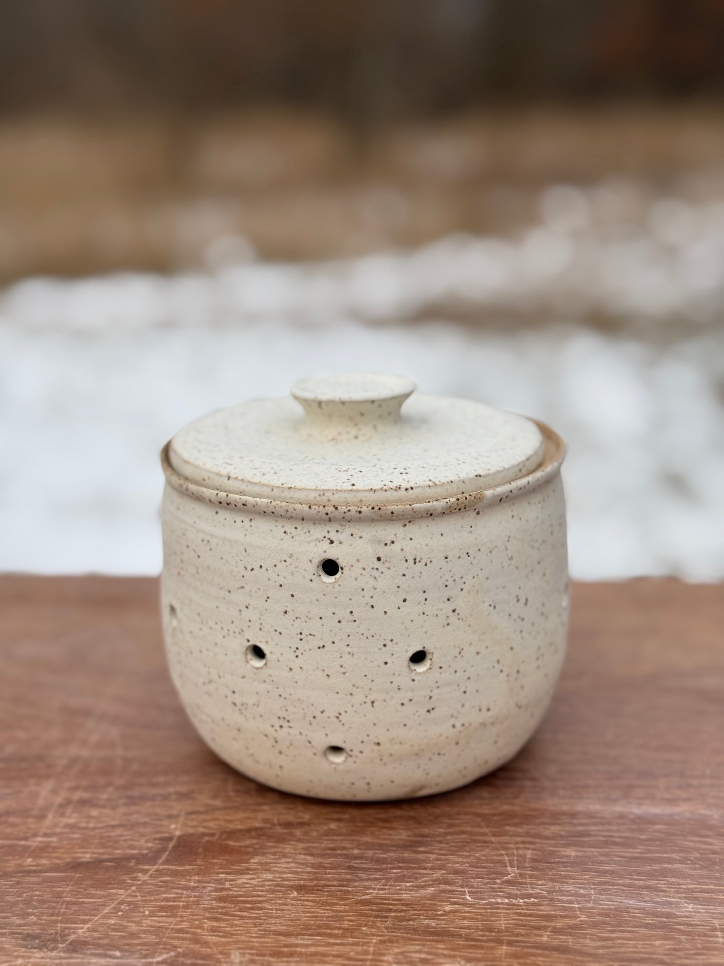 Garlic keeper
