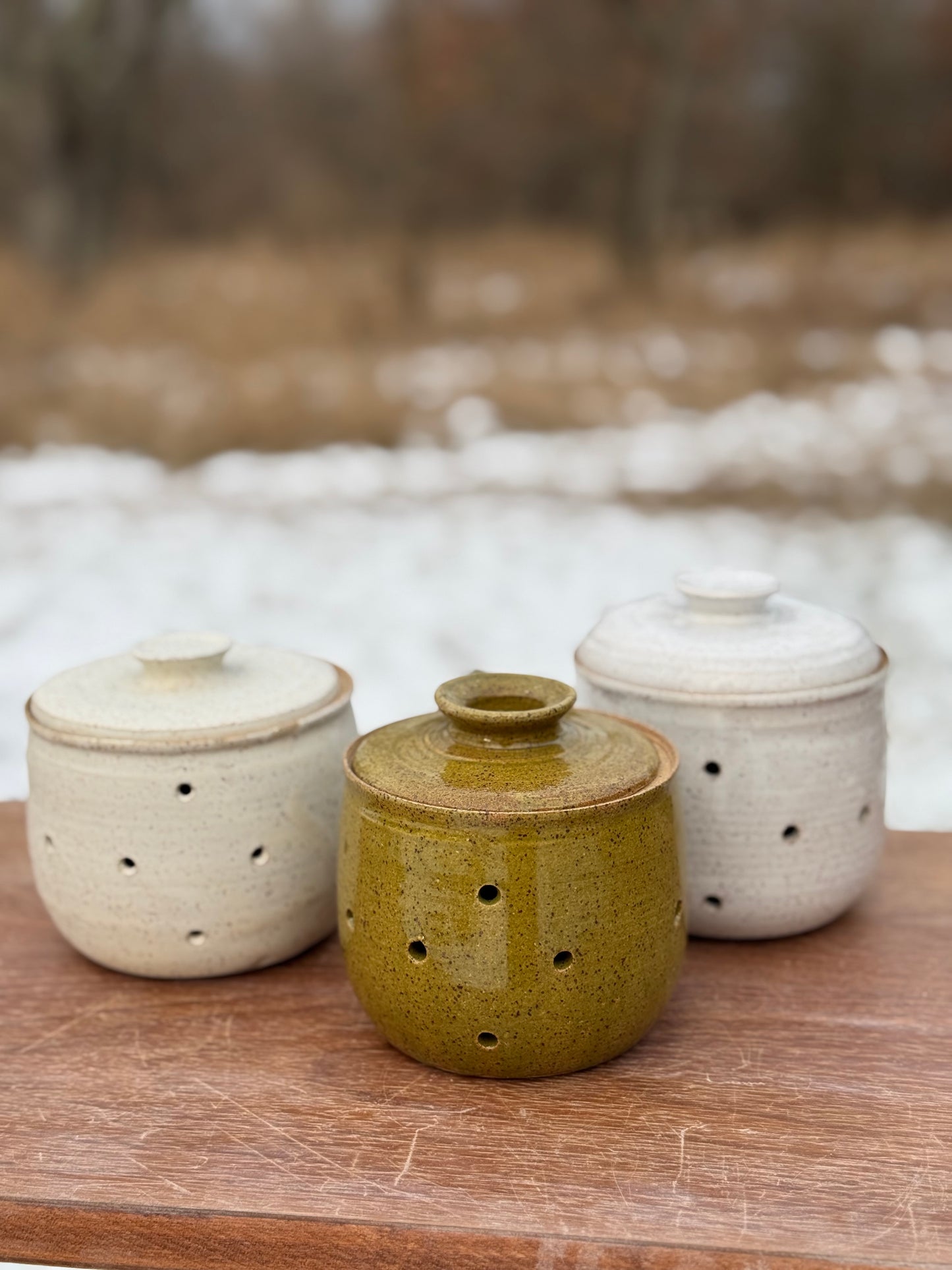Garlic keeper